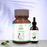 Premature Enjculation