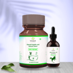 Overall Health and Sexual Power